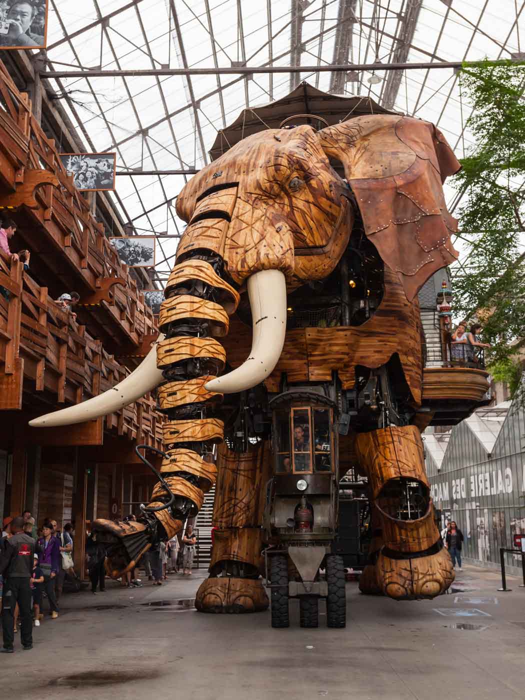 The giant mecanical elephant of The Ile’s Machines in Nantes